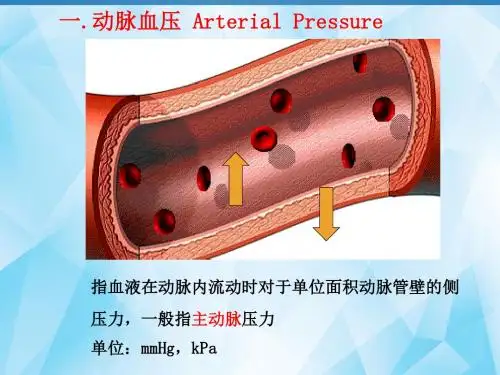 动脉血压PPT医学课件