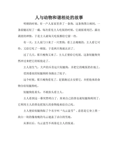 人与动物和谐相处的故事
