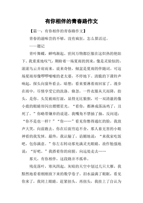 有你相伴的青春路作文