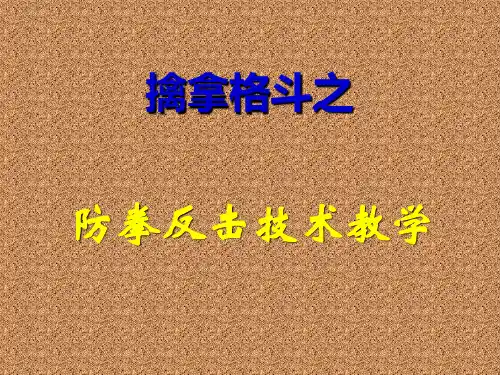 擒拿格斗 - 防拳反击技术