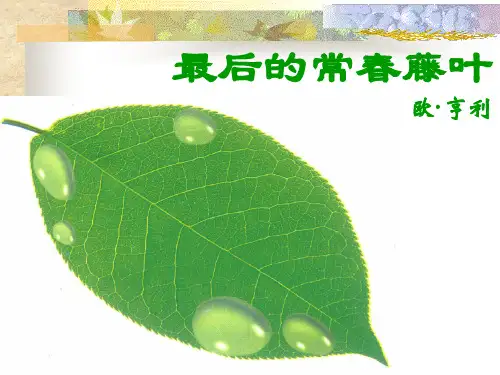 最后的常春藤叶