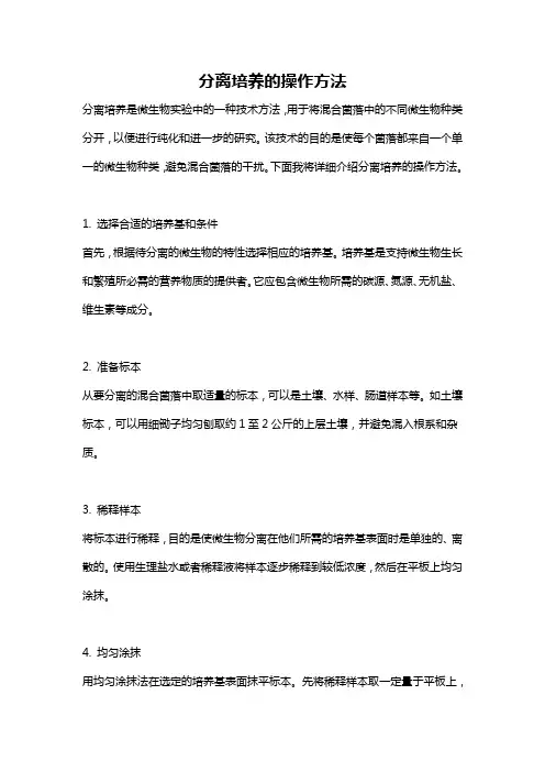 分离培养的操作方法