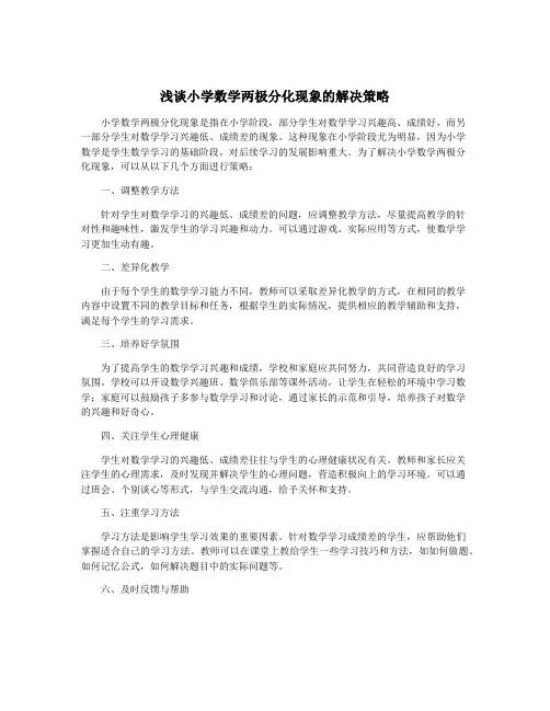 浅谈小学数学两极分化现象的解决策略