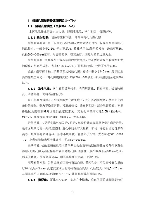 储层孔隙类型