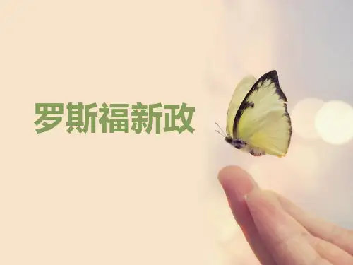 人教版历史与社会九年级上册2.3.2《罗斯福新政》-PPT课件-(共29张)