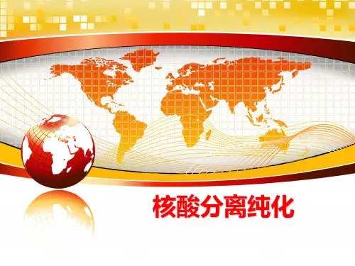 最新核酸分离纯化
