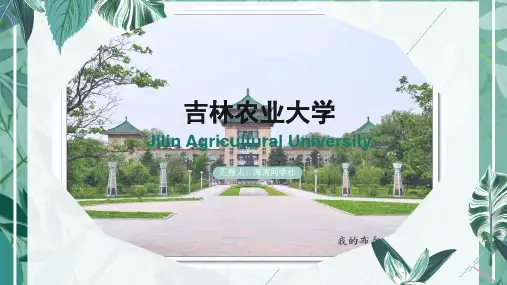 吉林农业大学专用-商务风格-PPT模板1