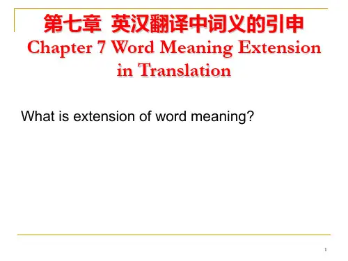 chapter 7 英汉翻译中的词义引申PPT课件