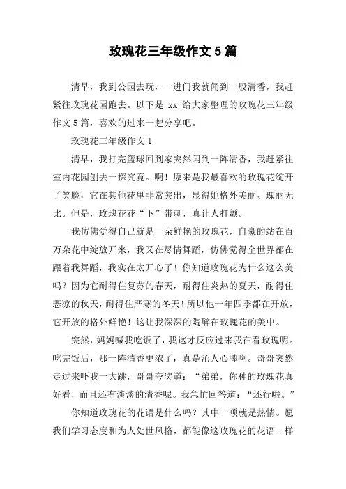 玫瑰花三年级作文5篇