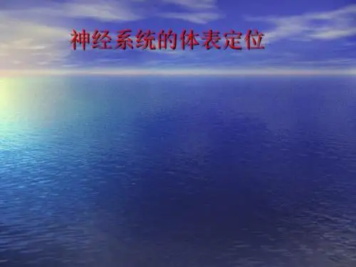 神经系统的体表定位