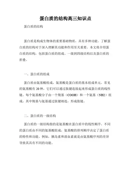 蛋白质的结构高三知识点