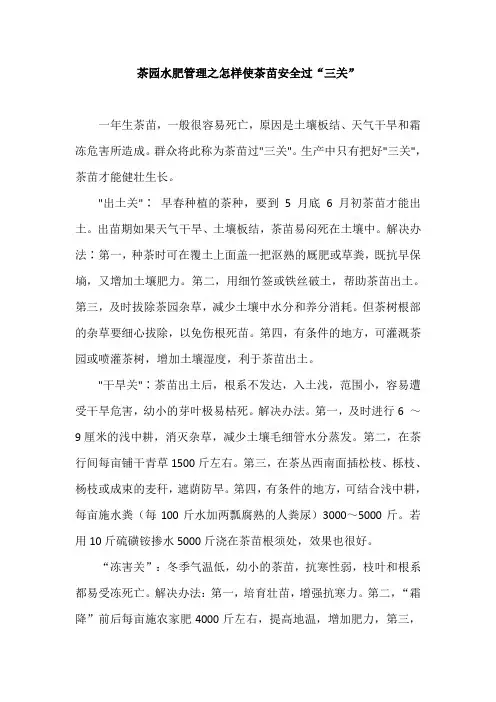 茶园水肥管理之怎样使茶苗安全过“三关”