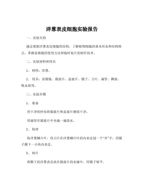 洋葱表皮细胞实验报告
