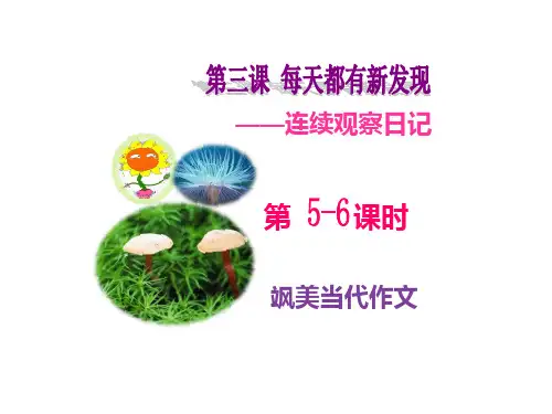 连续观察PPT课件