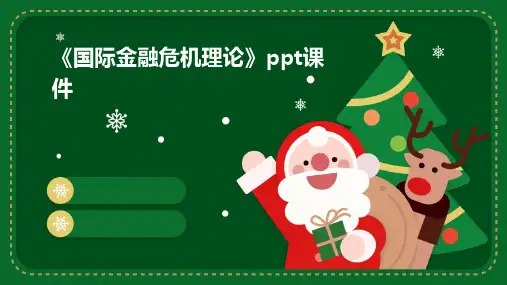 《国际金融危机理论》课件