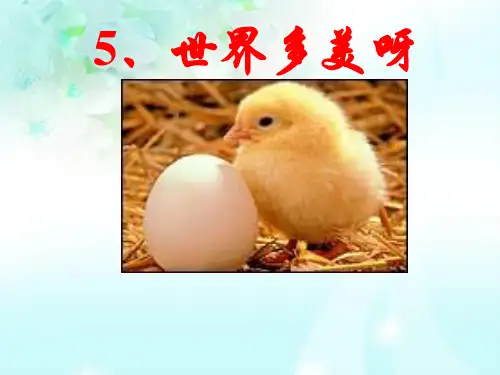 语文s版世界多美呀PPT教学课件