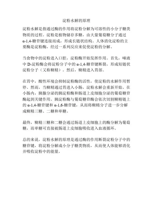淀粉水解的原理