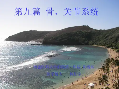 医学影像-骨、关节系统