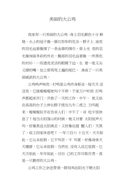 美丽的大公鸡