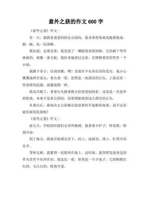 意外之获的作文600字