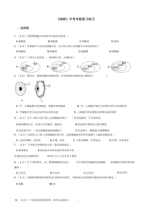 初中生物中考专题复习练习细胞