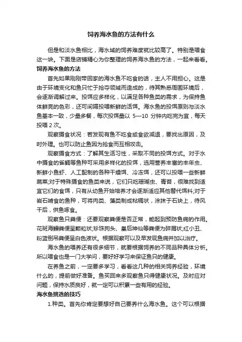 饲养海水鱼的方法有什么