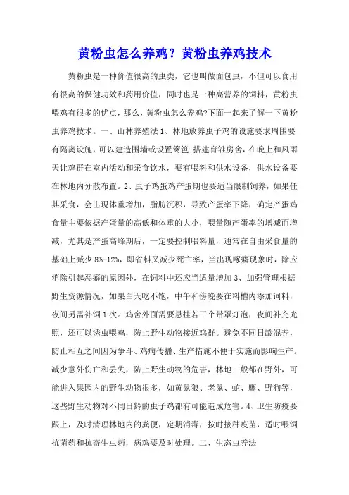 黄粉虫怎么养鸡？黄粉虫养鸡技术