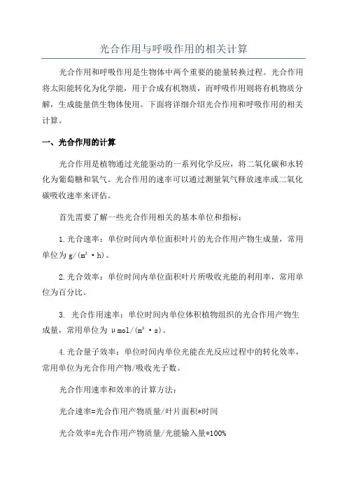 光合作用与呼吸作用的相关计算