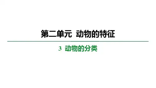 2.3 动物的分类 学案课件 大象版科学三年级上册