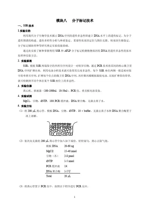 模块八分子标记技术一、SSR技术1.实验目的利用现代分子生物学技术...