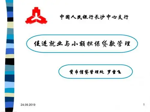 小额担保贷款的政策(ppt 50页)