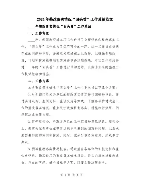 2024年整改落实情况“回头看”工作总结范文