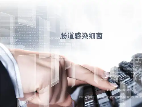 医学微生物学PPT课件 肠道感染细菌