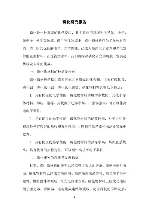 磷化研究报告