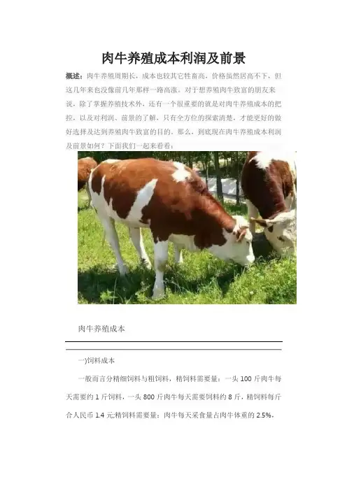 肉牛养殖成本利润及前景