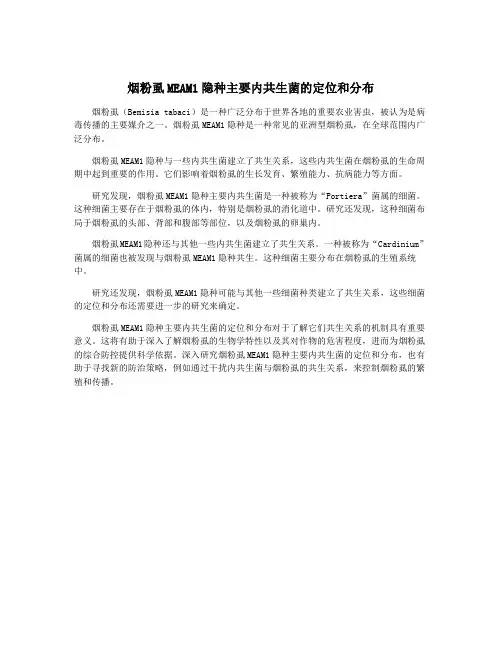 烟粉虱MEAM1隐种主要内共生菌的定位和分布