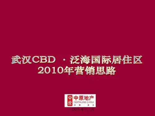 中原地产武汉CBD泛海国际居住区2010年营销思路