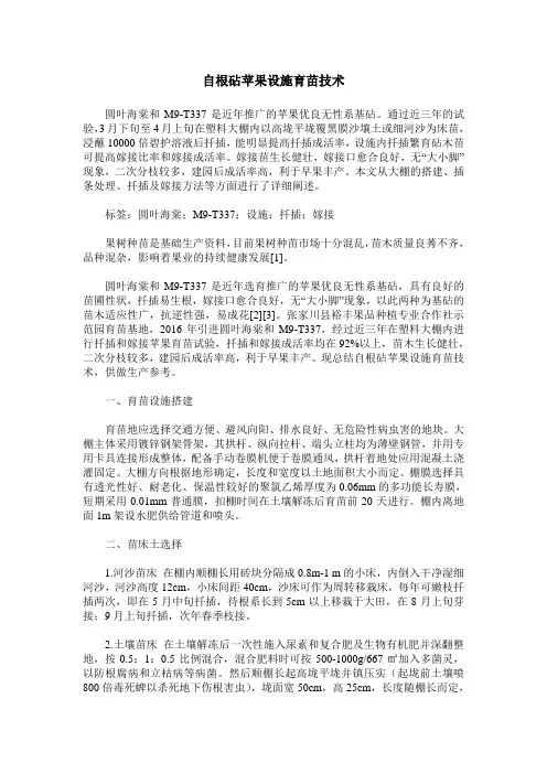 自根砧苹果设施育苗技术