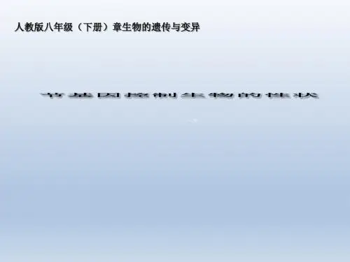 人教课标版生物八年级下册7.2.1基因控制生物的性状(共37张ppt)