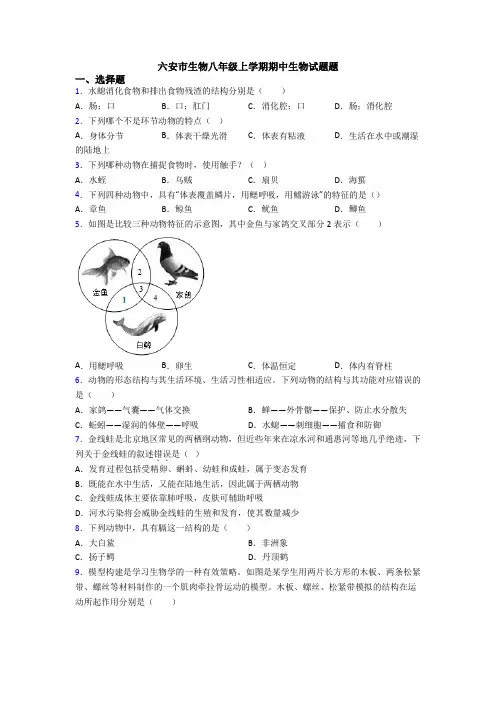 六安市生物八年级上学期期中生物试题题