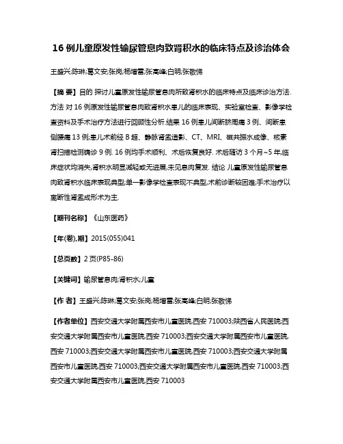 16 例儿童原发性输尿管息肉致肾积水的临床特点及诊治体会