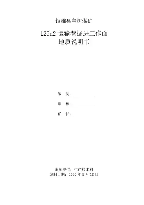 125a2运输巷掘进地质说明书