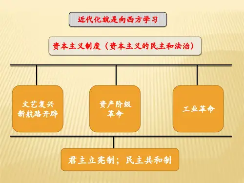 2019年中考历史一轮复习(近代化的艰难起步)