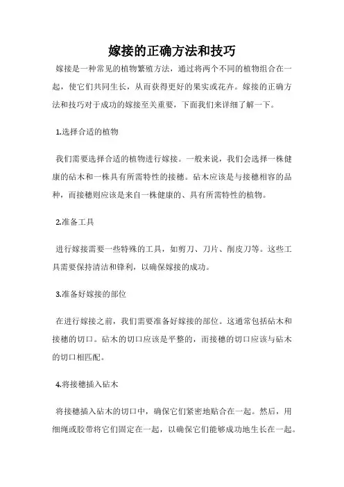 嫁接的正确方法和技巧