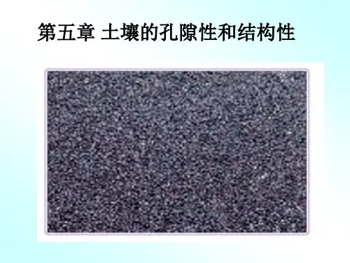 第五土壤的孔隙性和结构性剖析