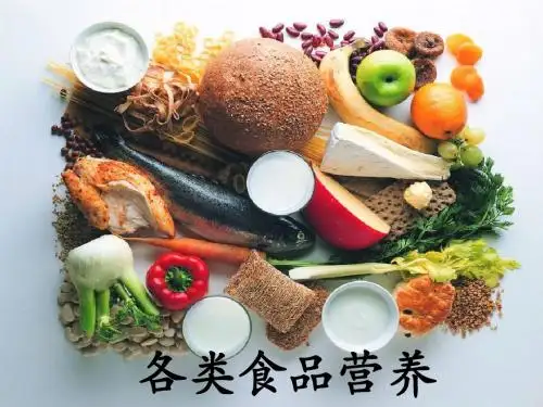 六年级科学上册2.1食物中的营养课件2湘教版
