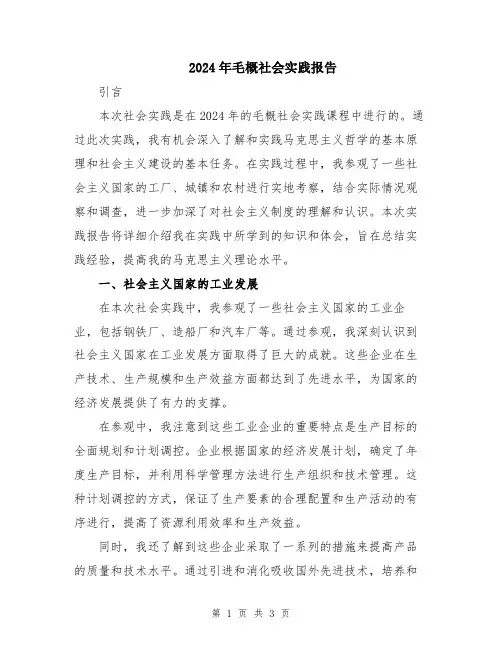 2024年毛概社会实践报告