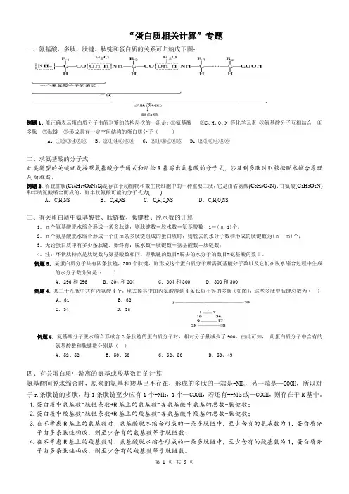 蛋白质相关计算专题
