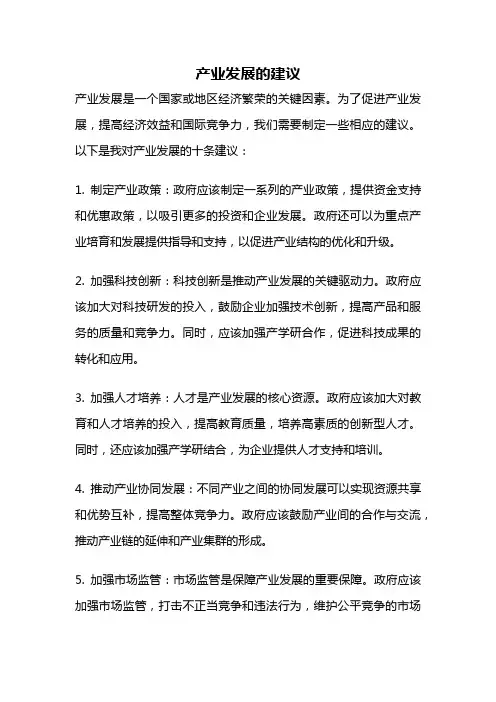 产业发展的建议