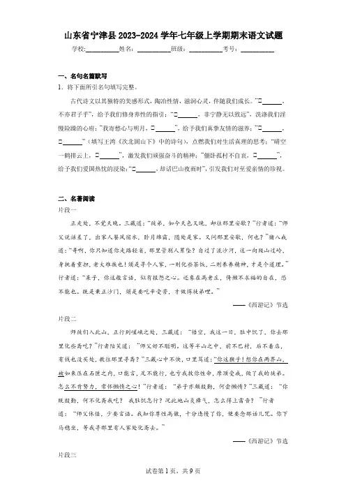 山东省宁津县2023-2024学年七年级上学期期末语文试题